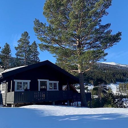 Uvdalhytta - Close To Cross Country And Downhill Skiing Sonstebo ภายนอก รูปภาพ