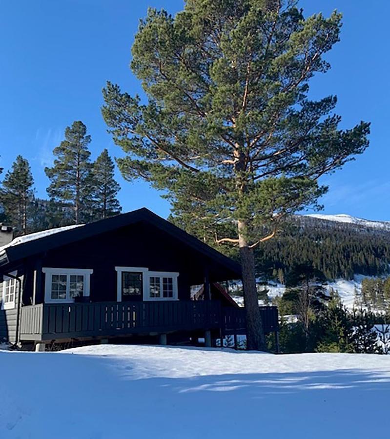 Uvdalhytta - Close To Cross Country And Downhill Skiing Sonstebo ภายนอก รูปภาพ