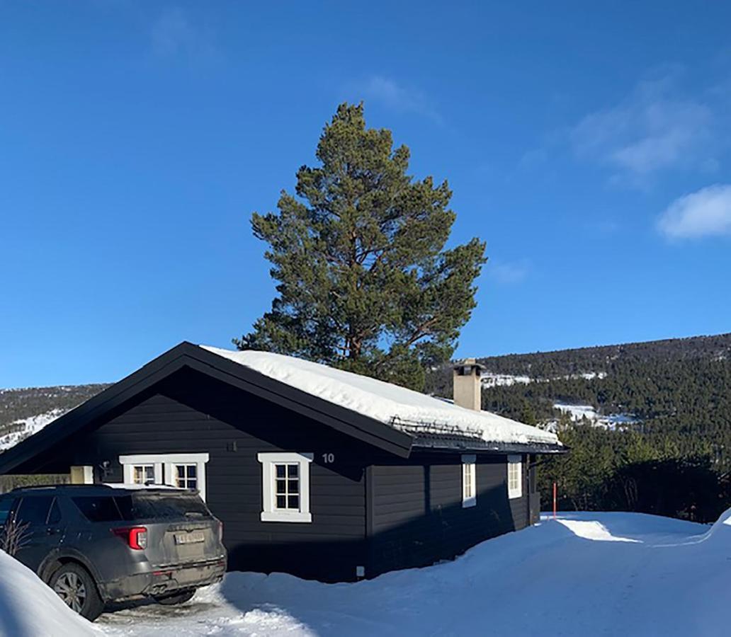 Uvdalhytta - Close To Cross Country And Downhill Skiing Sonstebo ภายนอก รูปภาพ