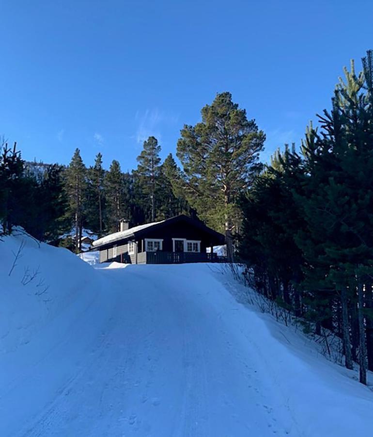 Uvdalhytta - Close To Cross Country And Downhill Skiing Sonstebo ภายนอก รูปภาพ